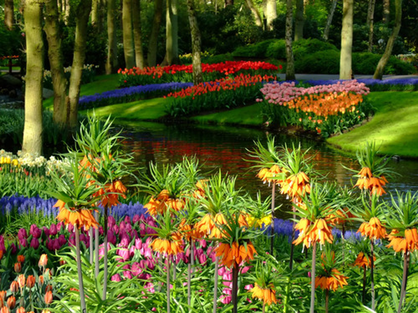 Fertilizante Triple 15 Pastilla Fercon 562 Gr 3