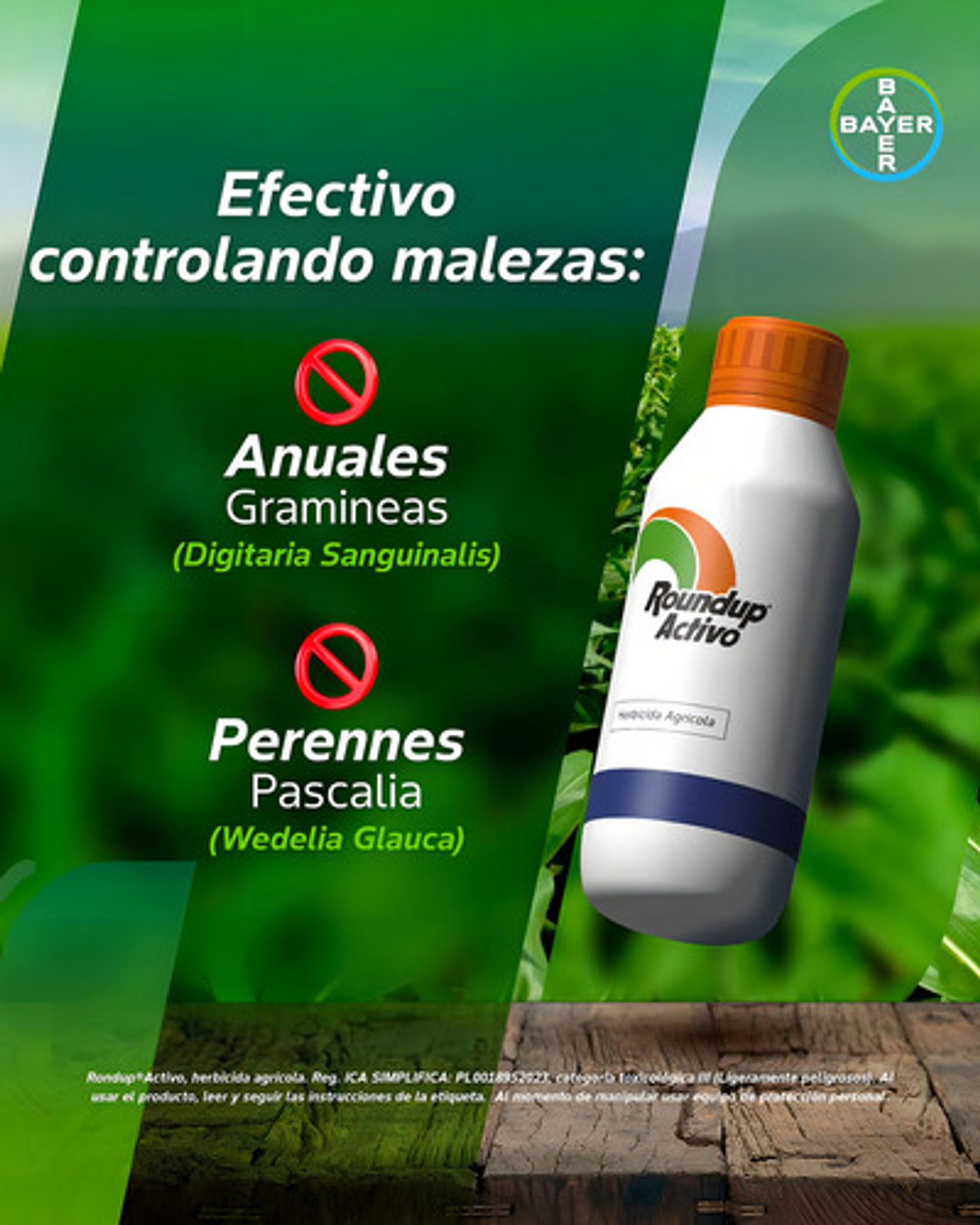 Herbicida Glifosato Roundup Activo Bayer 1l Control Total Malezas 2