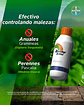 Herbicida Glifosato Roundup Activo Bayer 1l Control Total Malezas - Miniatura 2