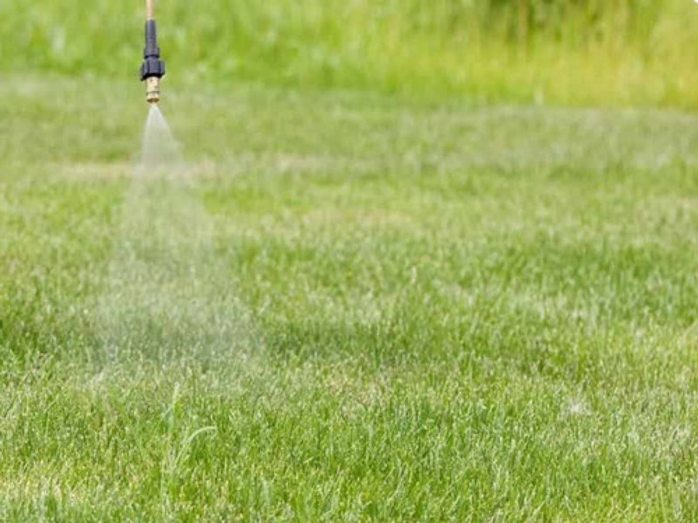 Herbicida Glifosato Roundup Activo Bayer 1l Control Total Malezas 3