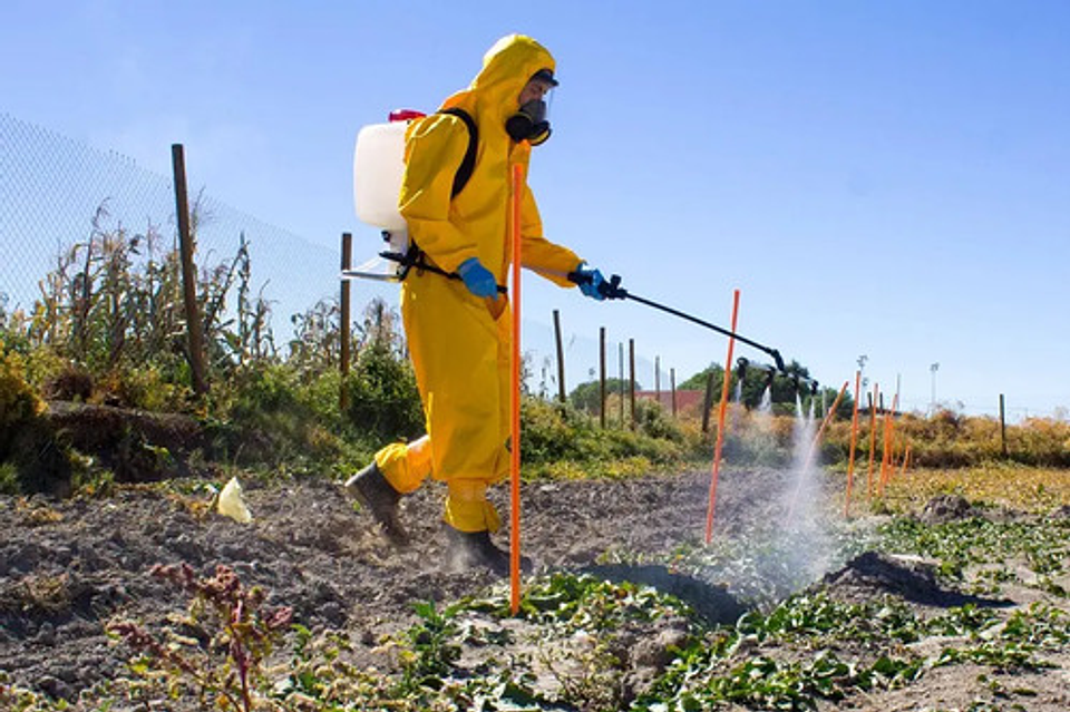 Gramafin  Herbicida Invesa 4 Litros -contacto 8