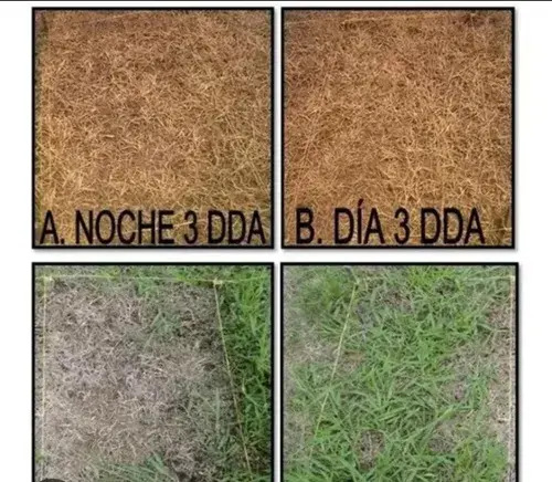 Herbicida Roundup (Glifosato) x 1 Litro - 4 Litros - 10 Litros Control Total Malezas | Agrosamario 4