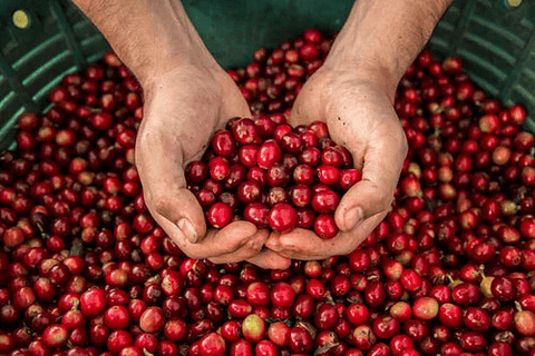 Fertilizante Producción Remital Yara 17-6-18-2 X 10 Kg Grane