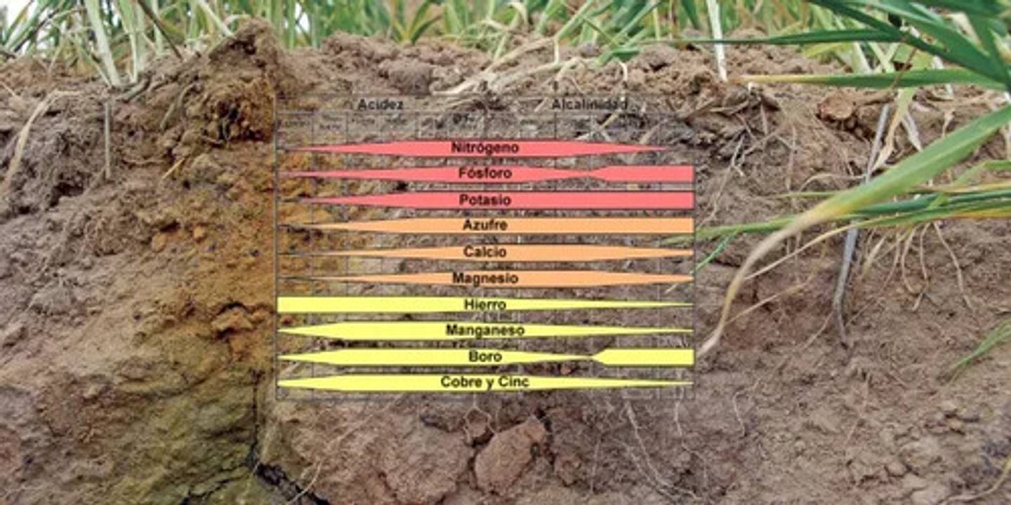 Cal Líquida Encalar Acondionador De Suelo X Litro 5