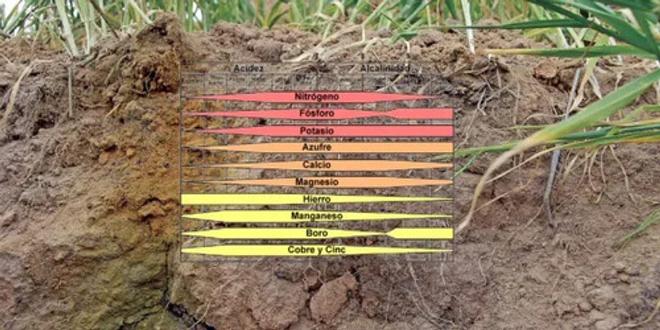 Cal Líquida Encalar Acondionador De Suelo X Litro 5