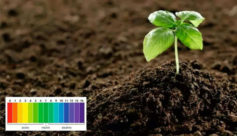 Cal Líquida Encalar Acondionador De Suelo X Litro 6