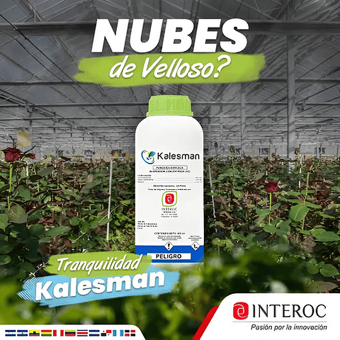 Kalesman X 500 Cc Interoc Fluopicolide+ Propamocarb Hongos