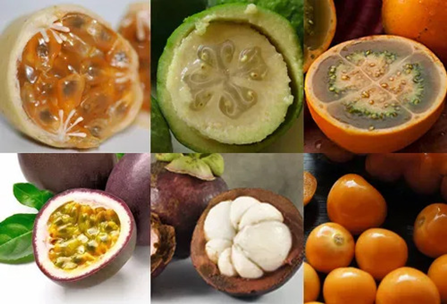 Fertilizante  Plantas Kalibre K620 Potasio Llenado X Litro 3