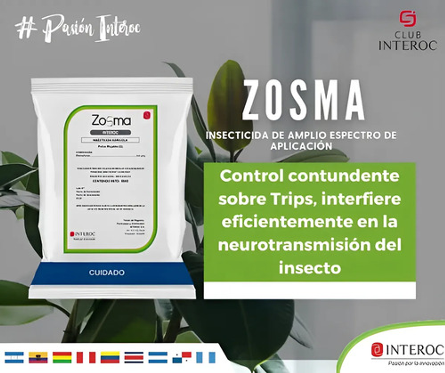 Zosma X Kilo  Interoc Dinotefuran   Cultivos 1