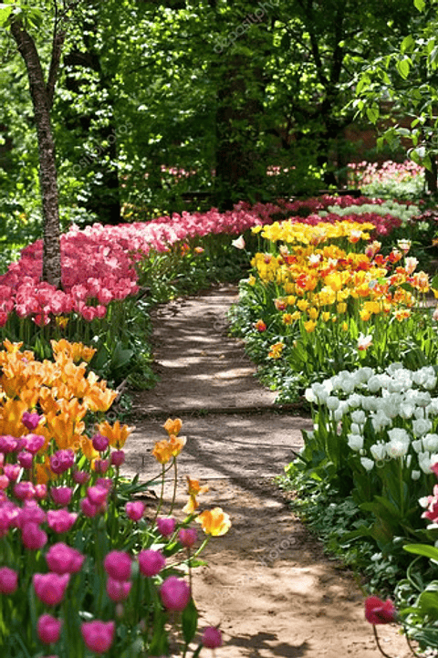 Fertilizante Triple 18 Granulado 18-18-18 X Kilo Forza