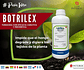 Botrilex Interoc X 250 Cc Pyrimethanil+thiram Botrytis Plant - Miniatura 3