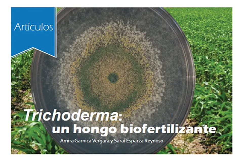 Antagon® Wp Trichoderma Harzianum -fusarium X Kilo Biologico 4