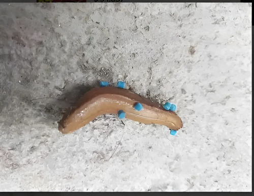 Molusquicida para Caracol Africano y Babosas x 500g | Agrosamario 4