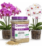 Osmocote 15-9-12 Fertilizante Nutrición 2 Kilos 3 -4 Meses - Miniatura 2