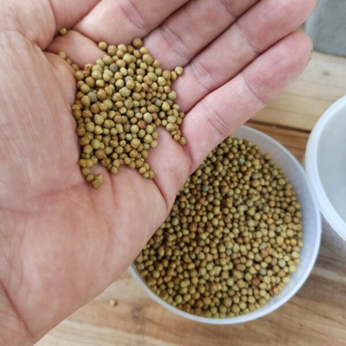 Fertilizante Granulado  Osmocote Plus 15-9-12 Nutrient 2kg 4