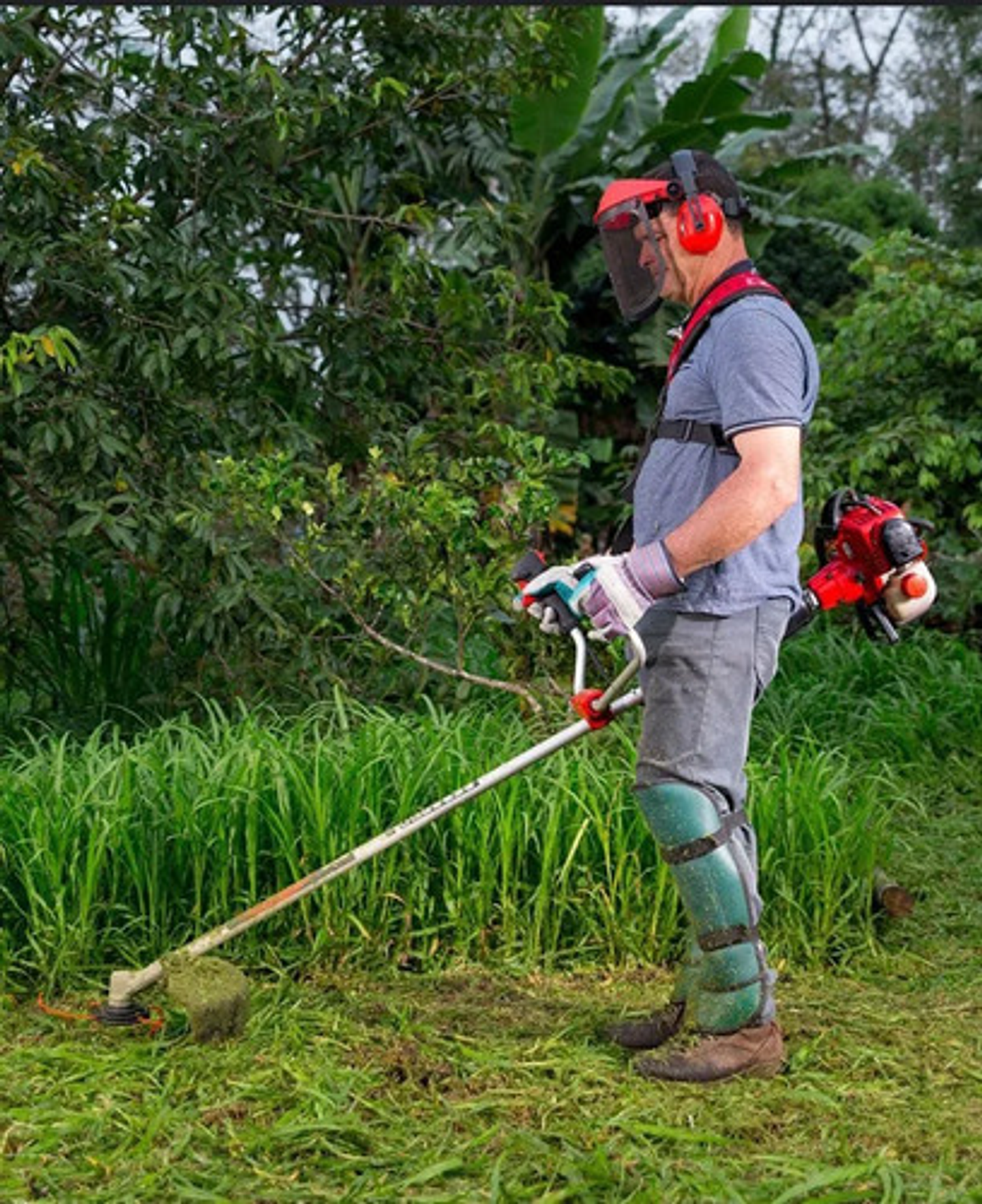 Aceite Mobil Outboard Plus 50:1 2t 1l 2