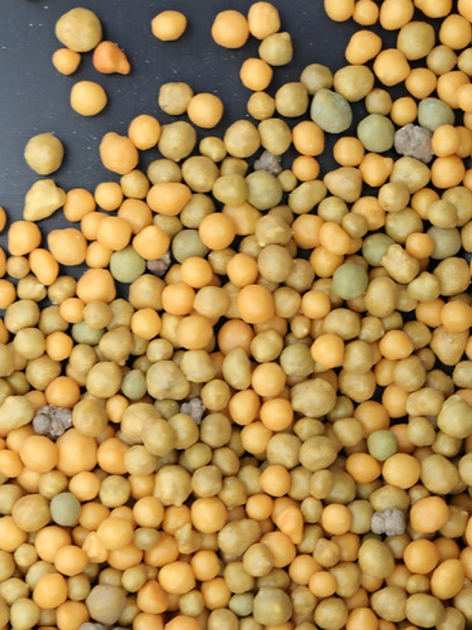 Fertilizante Granulado Fercon Osmocote Plus 15-9-12 X 2 Kilo 2