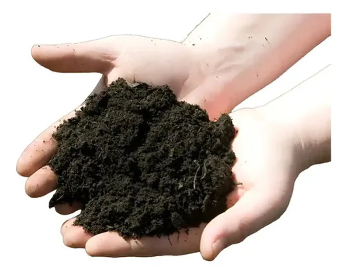 Humus de Lombriz (Lombricompuesto) x 1 Kilo | Agrosamario 2