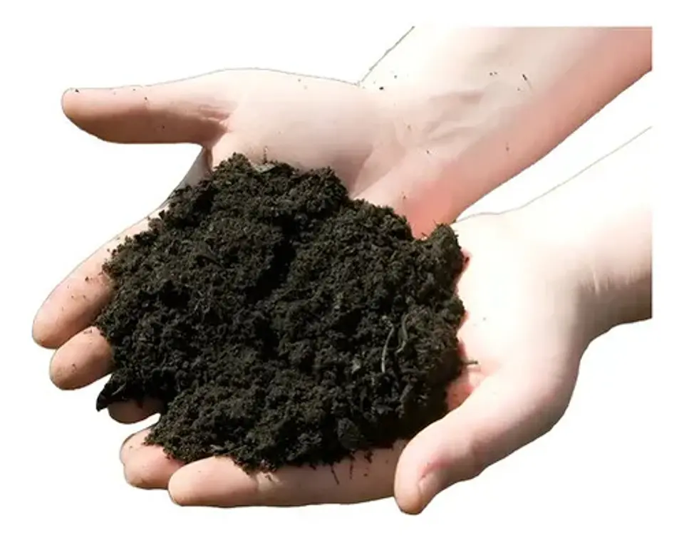 Humus de Lombriz (Lombricompuesto) x 1 Kilo | Agrosamario 2