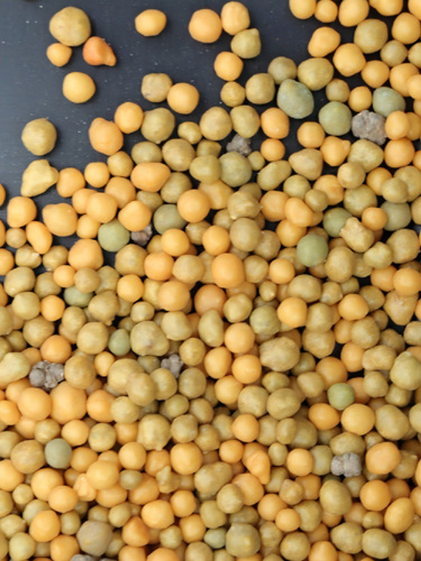 Fertilizante Granulado Fercon Osmocote Plus 15-9-12 X 2 Kilo 2