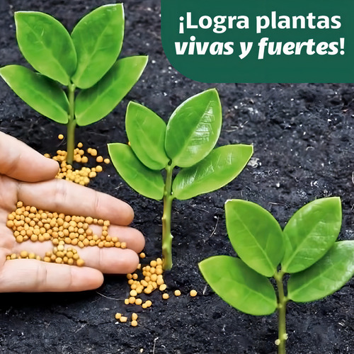 Fertilizante Liberación Controlada Osmocote Plus 15-9-12 Fercon (500g - 2kg)   | Agrosamario 6
