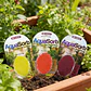 Aquasorb Perlas X 10 Gr Colores surtidos x 3 Unidades | Agrosamario  - Miniatura 3