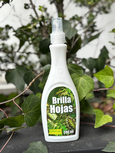 Brillahojas X 240 Cc Fercon Jardín | Agrosamario