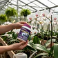 Forza Fertilizante Soluble Orquídeas 250 Gr Jardín | Agrosamario - Miniatura 5