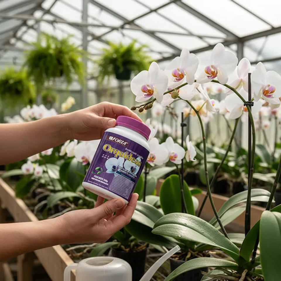 Forza  Fertilizante Soluble Orquídeas 250 Gr Jardin 4
