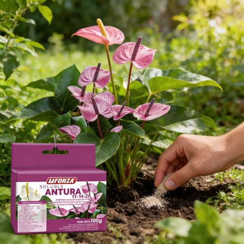 Fertilizante Soluble Antura X 100 Gr Jardín | Agrosamario 3