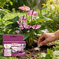 Fertilizante Soluble Antura X 100 Gr Jardín | Agrosamario - Miniatura 3