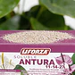 Fertilizante Soluble Antura X 100 Gr Jardín | Agrosamario - Miniatura 4