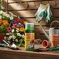 Fertilizante Evergreen Plantas Flor X 250 Cc | Agrosamario - Miniatura 2