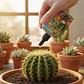 Fertilizante Cactus Y Suculentas X 120 Ml | Agrosamario - Miniatura 5