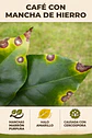 Fungicida Bactericida Oxicloruro de Cobre Campo Verde - 1 Kg Agrosamario  - Miniatura 4