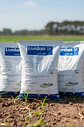 Lorsban Polvo X 24 Kilos - Control De Hormigas - Miniatura 7