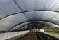 Polisombra 80% Negra x 4m: Cortes (10m, 20m, 50m) y Rollo 100m Agrosamario - Miniatura 4