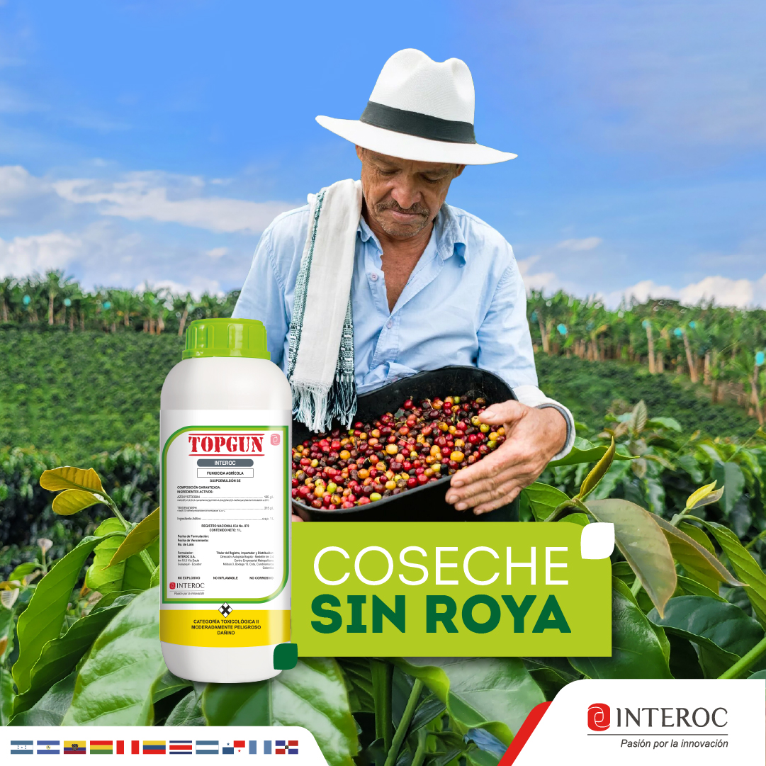 Topgun - Fungicida Sistémico de Alto Impacto | 1 Litro | Interoc | Agrosamario 1