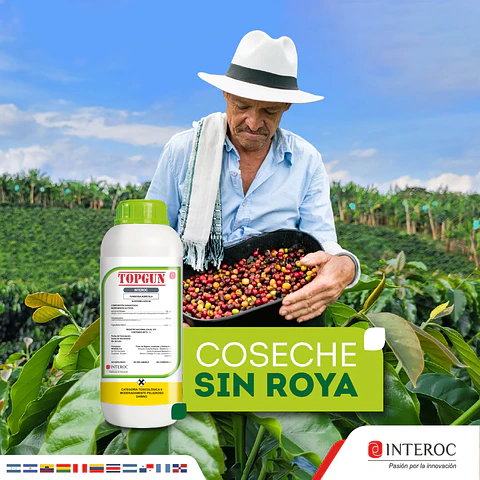 Topgun - Fungicida Sistémico de Alto Impacto | 1 Litro | Interoc | Agrosamario