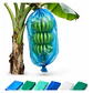 Bolsa Para Plátano x 50 Unidades (Verde, Azul, Transparente) - 50 Unidades Agrosamario  - Miniatura 11