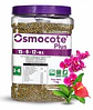 Fertilizante Liberación Controlada Osmocote Plus 15-9-12 Fercon (500g - 2kg)   | Agrosamario - Miniatura 3