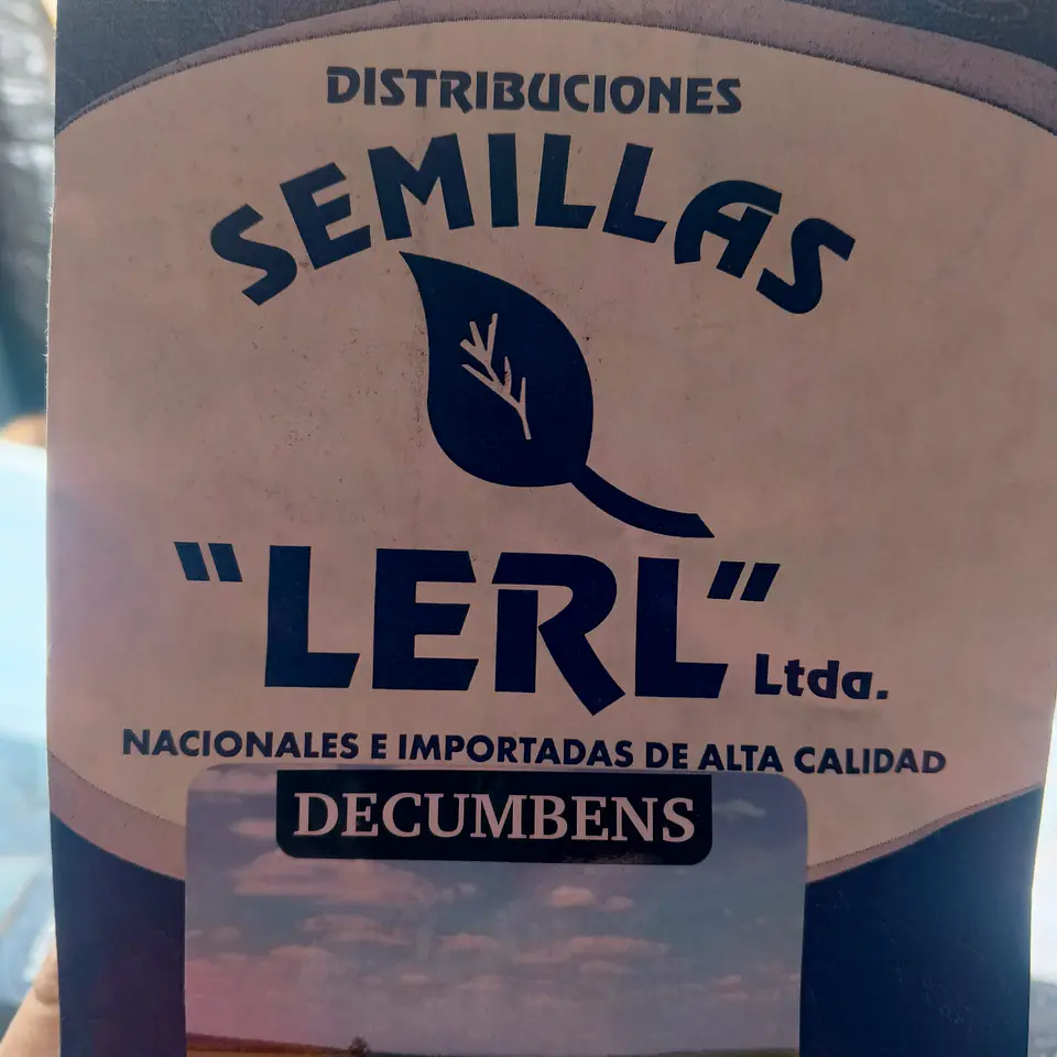 Semilla de Pasto  LERL  Brachiaria Decumbens Escarificada - Agrosamario 4