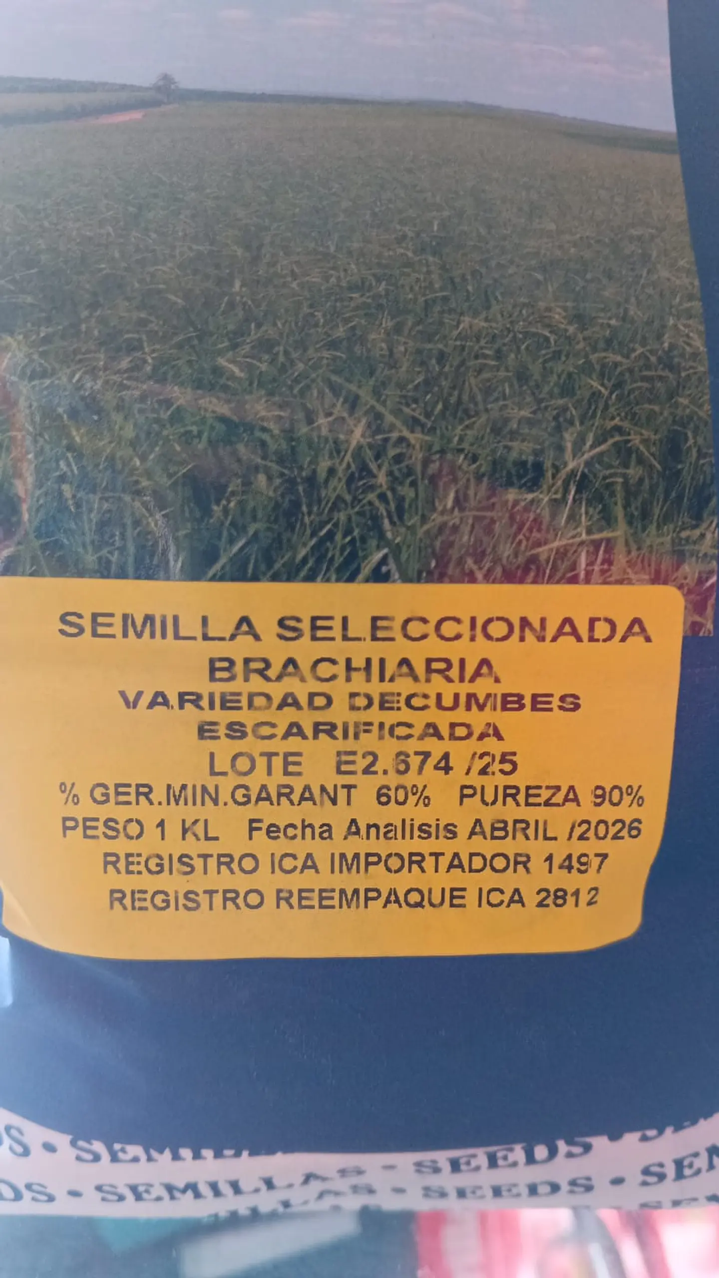 Semilla de Pasto  LERL  Brachiaria Decumbens Escarificada - Agrosamario 6