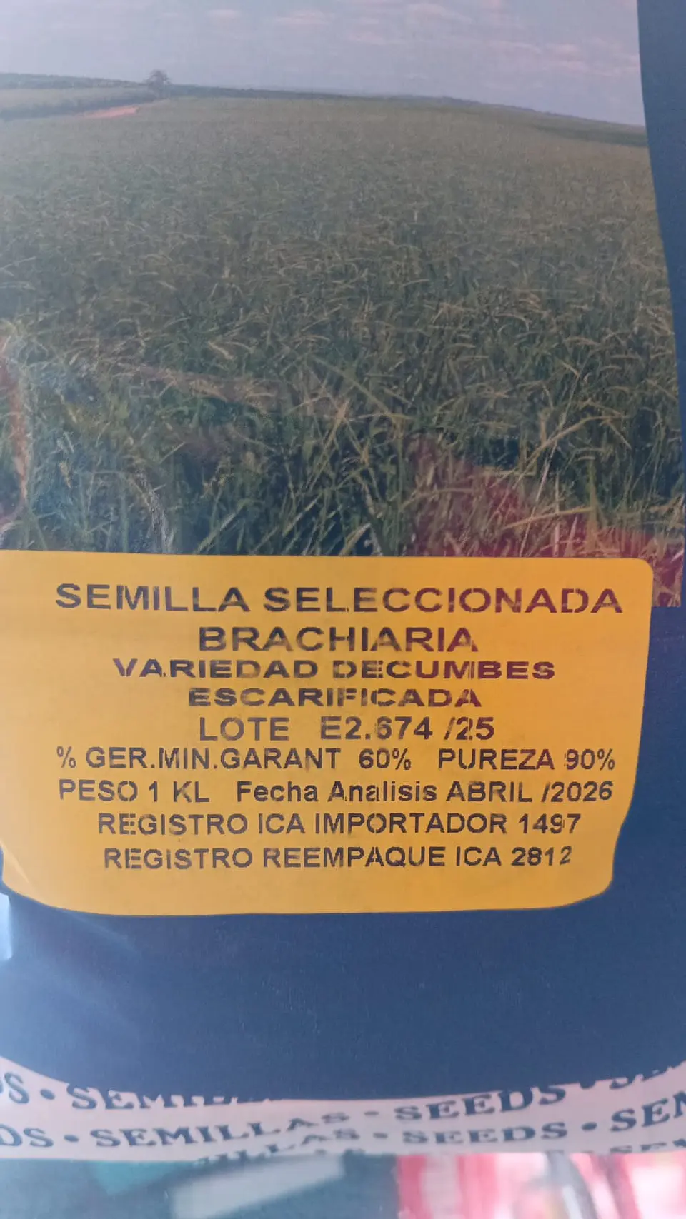 Semilla de Pasto  LERL  Brachiaria Decumbens Escarificada - Agrosamario 6