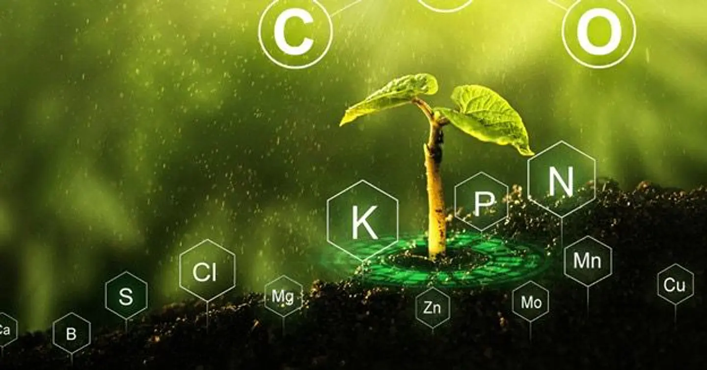 ACIGIB 10 SP (10 Gramos) – Hormona de crecimiento Alto Rendimiento Agrosamario  3