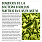 Serenade Bayer Bacillus Subtilis Fungicida X L Agrosamario - Miniatura 4