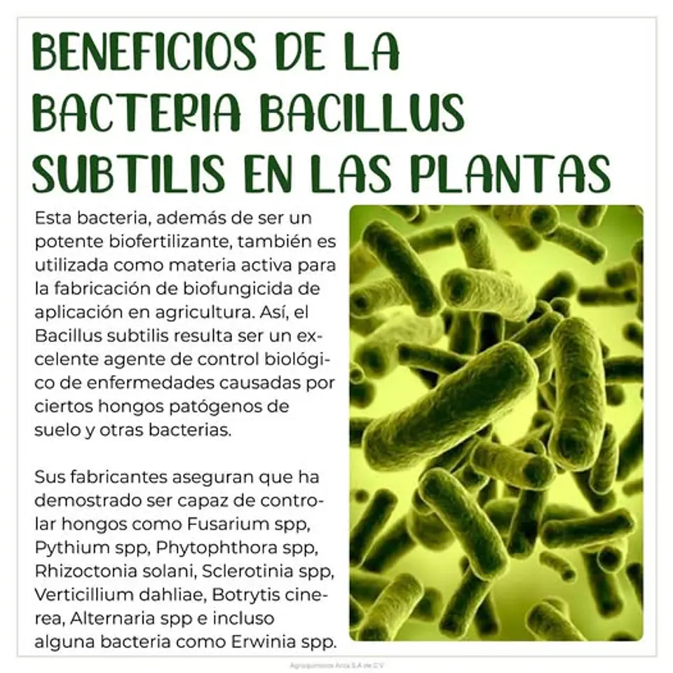 Serenade Bayer Bacillus Subtilis Fungicida X L Agrosamario 4