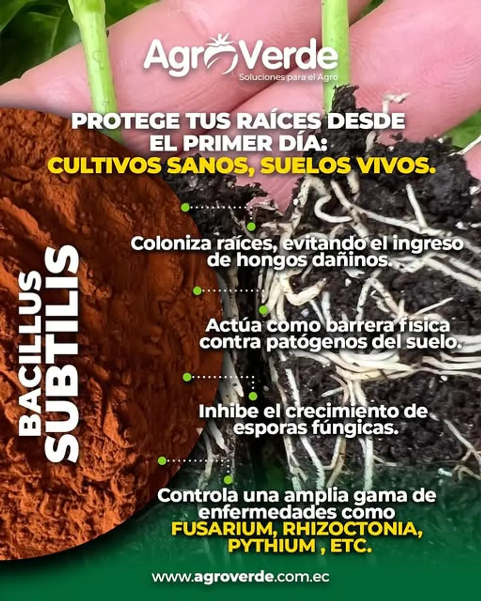 Serenade Bayer Bacillus Subtilis Fungicida X L Agrosamario 6