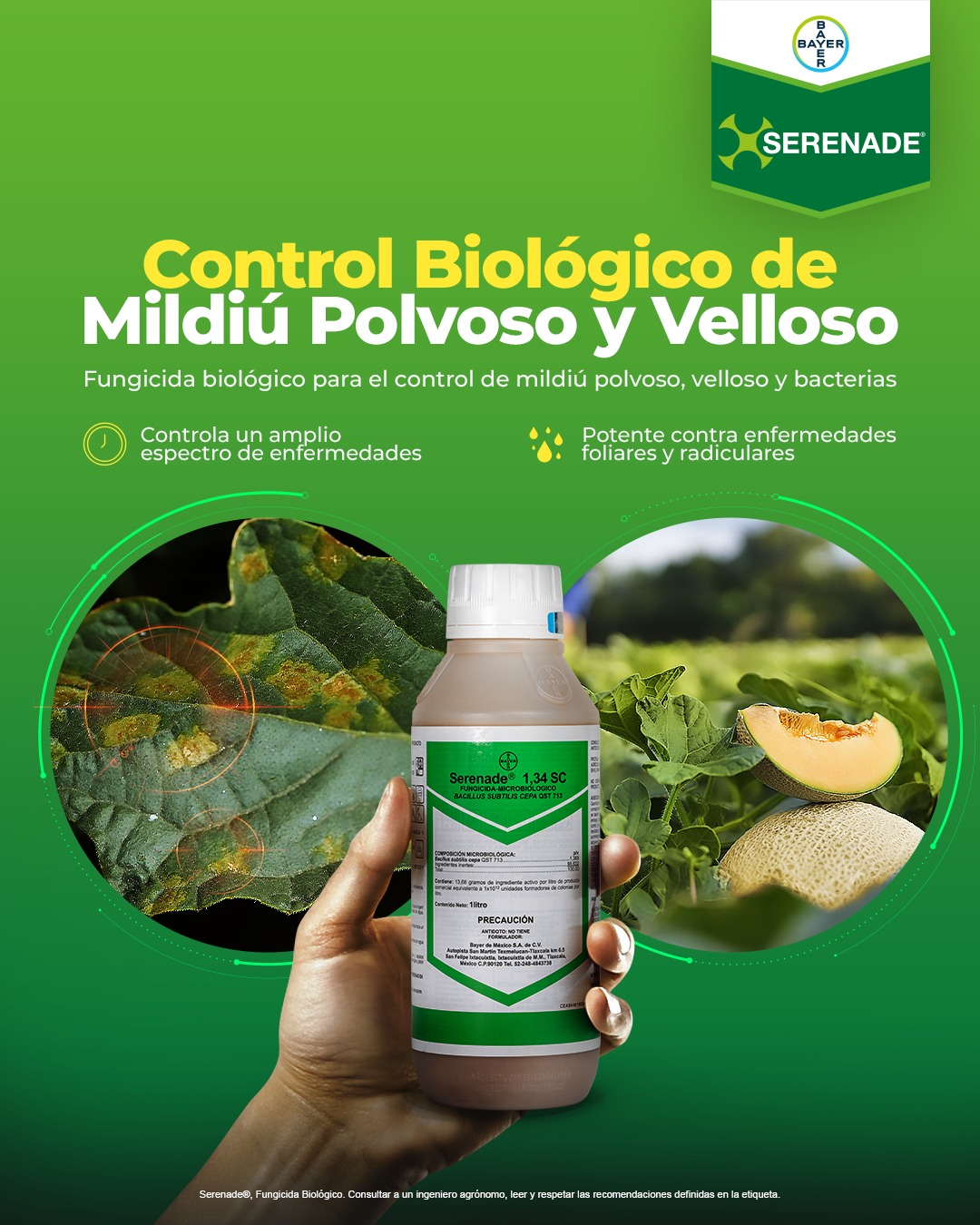 Serenade Bayer Bacillus Subtilis Fungicida X L Agrosamario 1