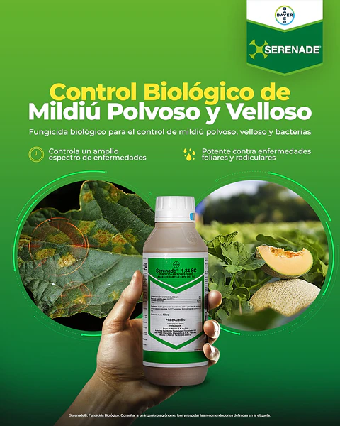 Serenade Bayer Bacillus Subtilis Fungicida X L Agrosamario